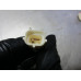 28P020 Coolant Temperature Sensor For 10-24 Toyota 4Runner  4.0